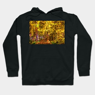 The Painted Forest Hoodie